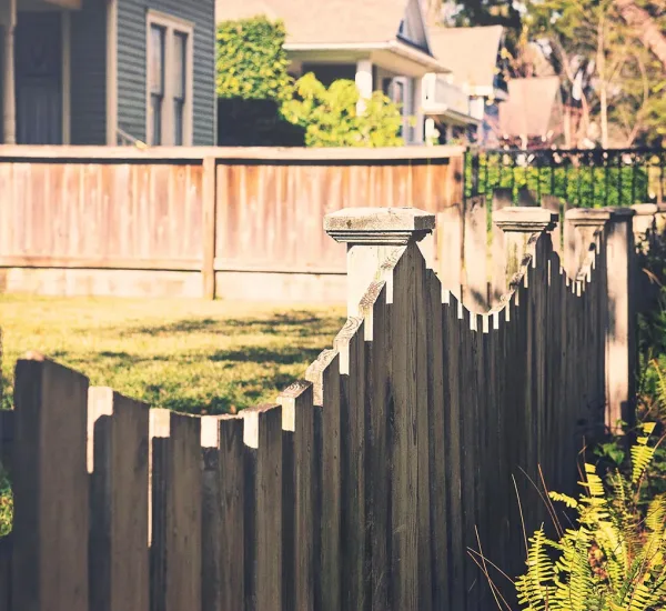 hello-little-chickadee_t20_kn3bpx